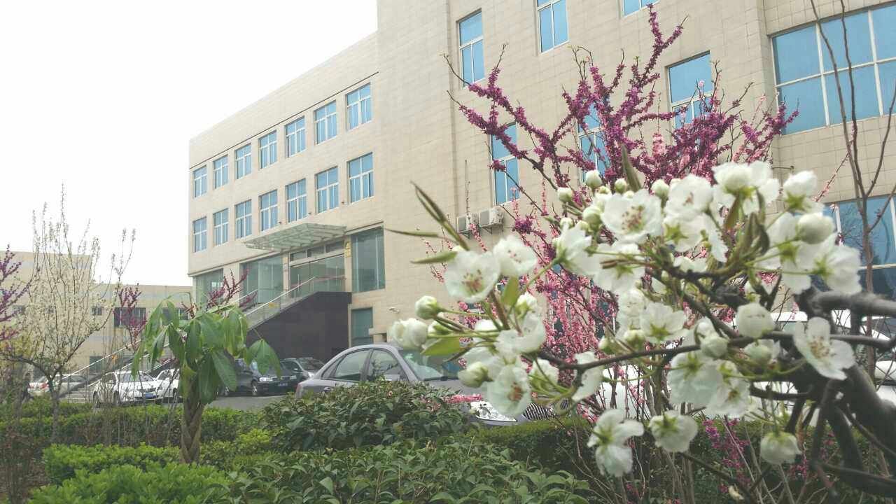 為什么銀馬是知名的砌塊磚機(jī)廠家