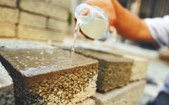 按照海綿城市的標(biāo)準(zhǔn)改造城市水系