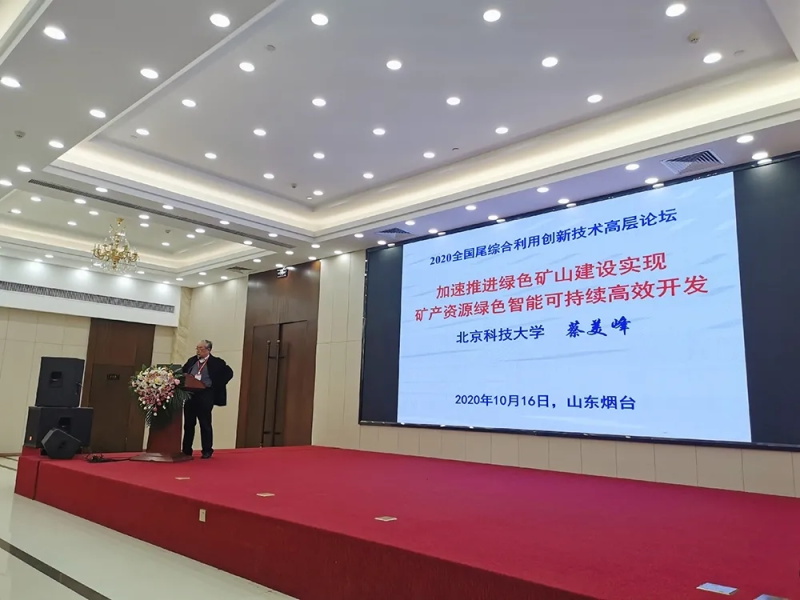 中國工程院院士蔡美峰