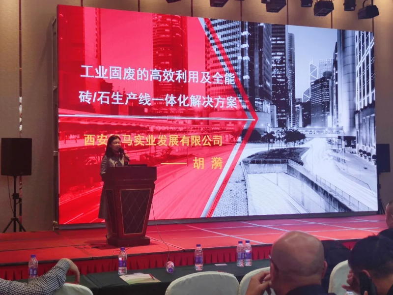 西安銀馬公司總經理胡漪女士