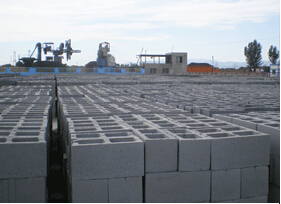 標(biāo)磚空心砌塊